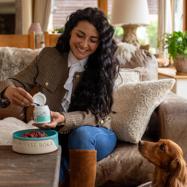 Poudre dentaire triple action pour chiens et chats Dorwest