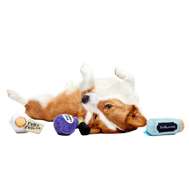 Peluche Potions Pack Up Harry Potter pour chien : trois potions en peluche Polyjuice Potion, Felix Felicis et Veritaserum