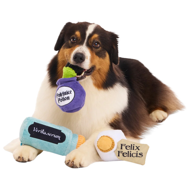 Peluche Potions Pack Up Harry Potter pour chien : trois potions en peluche Polyjuice Potion, Felix Felicis et Veritaserum