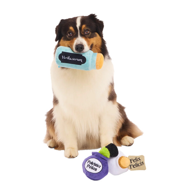 Peluche Potions Pack Up Harry Potter pour chien : trois potions en peluche Polyjuice Potion, Felix Felicis et Veritaserum