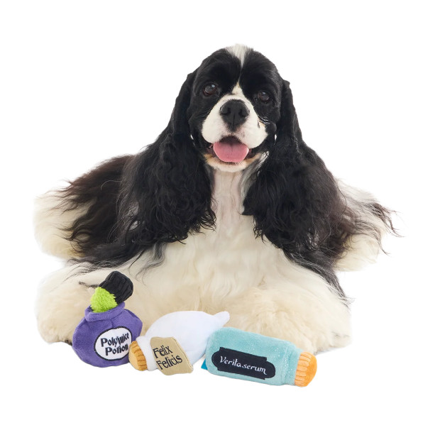 Peluche Potions Pack Up Harry Potter pour chien : trois potions en peluche Polyjuice Potion, Felix Felicis et Veritaserum