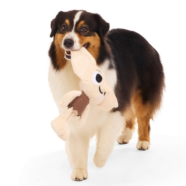 Peluche Dobby Harry Potter pour chien tenant une chaussette bleue