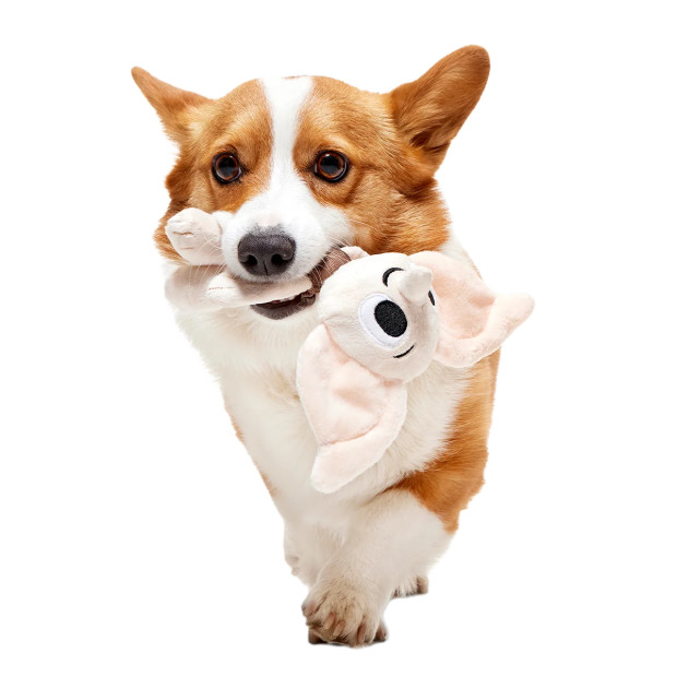 Peluche Dobby Harry Potter pour chien BARK