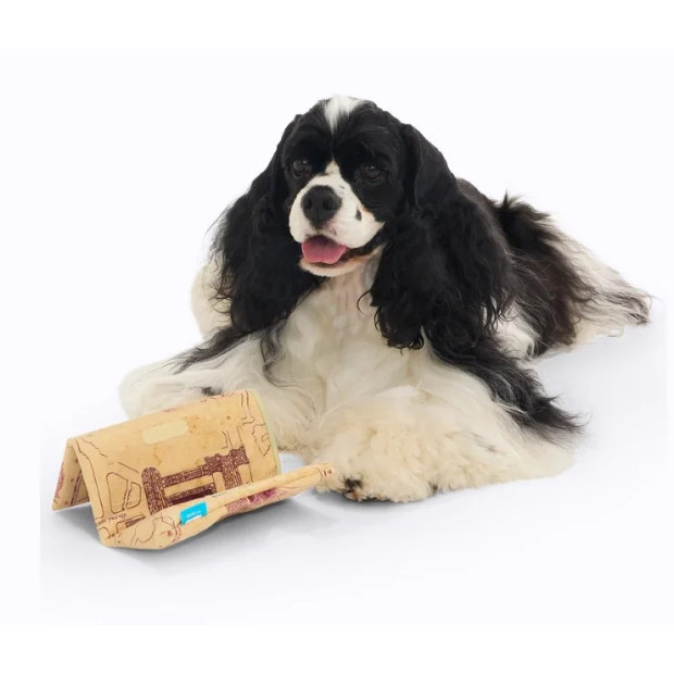 Peluche chien Carte du Maraudeur Harry Potter | BARK