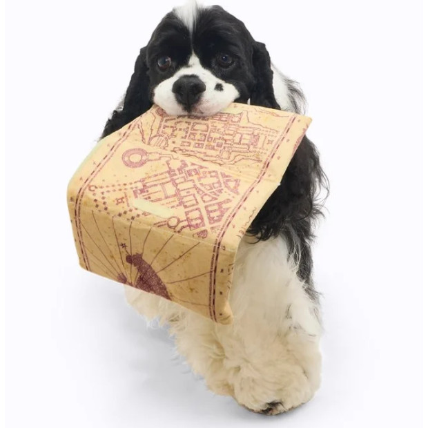 Peluche chien Carte du Maraudeur Harry Potter | BARK