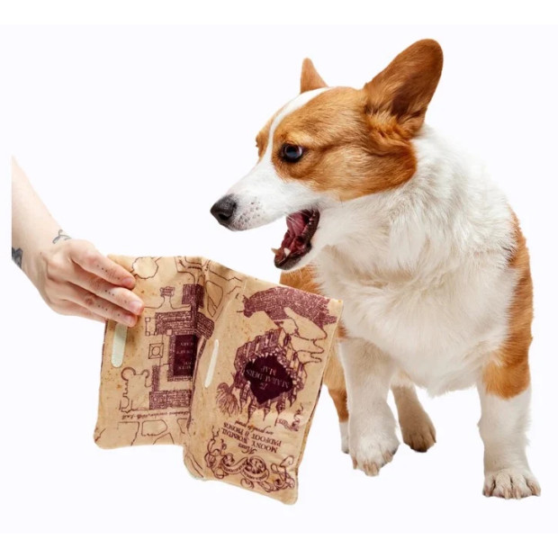 Peluche chien Carte du Maraudeur Harry Potter | BARK