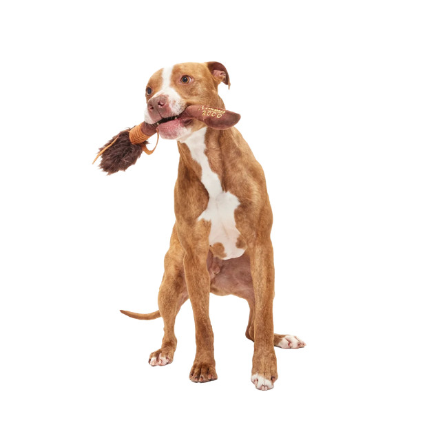 Peluche chien Nimbus 2000 Harry Potter| BARK