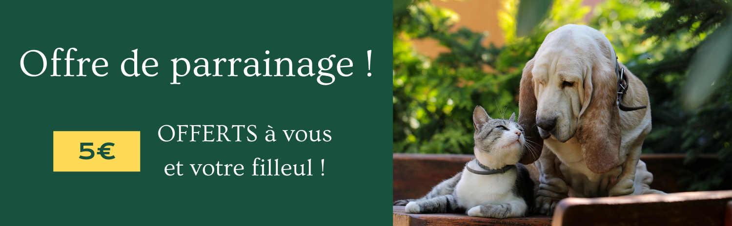 Offre-de-parrainage-2022