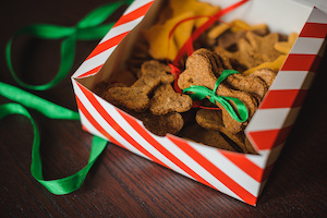 Gâteaux pour chiens attention aux toxines