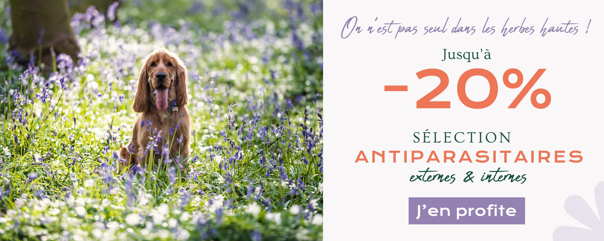 Antiparasitaires février 26