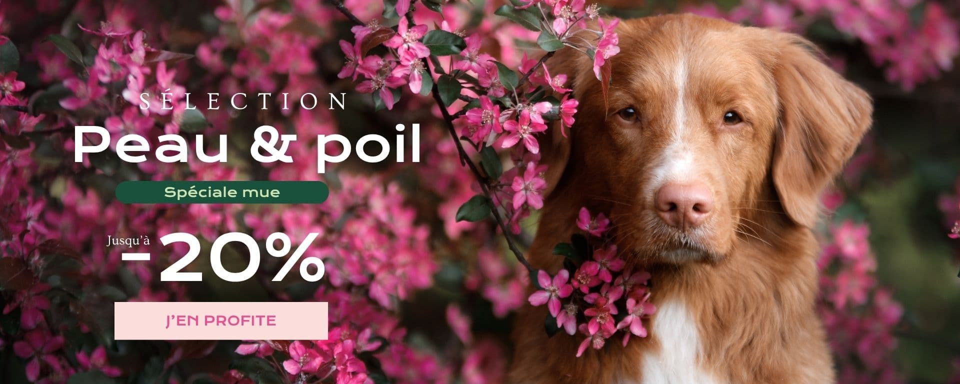 Sélection peau et poil