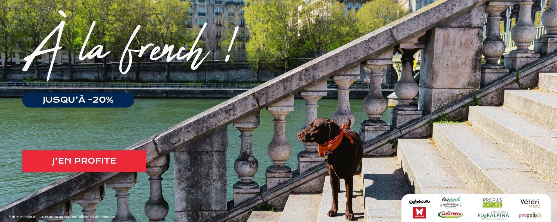 French Days 26