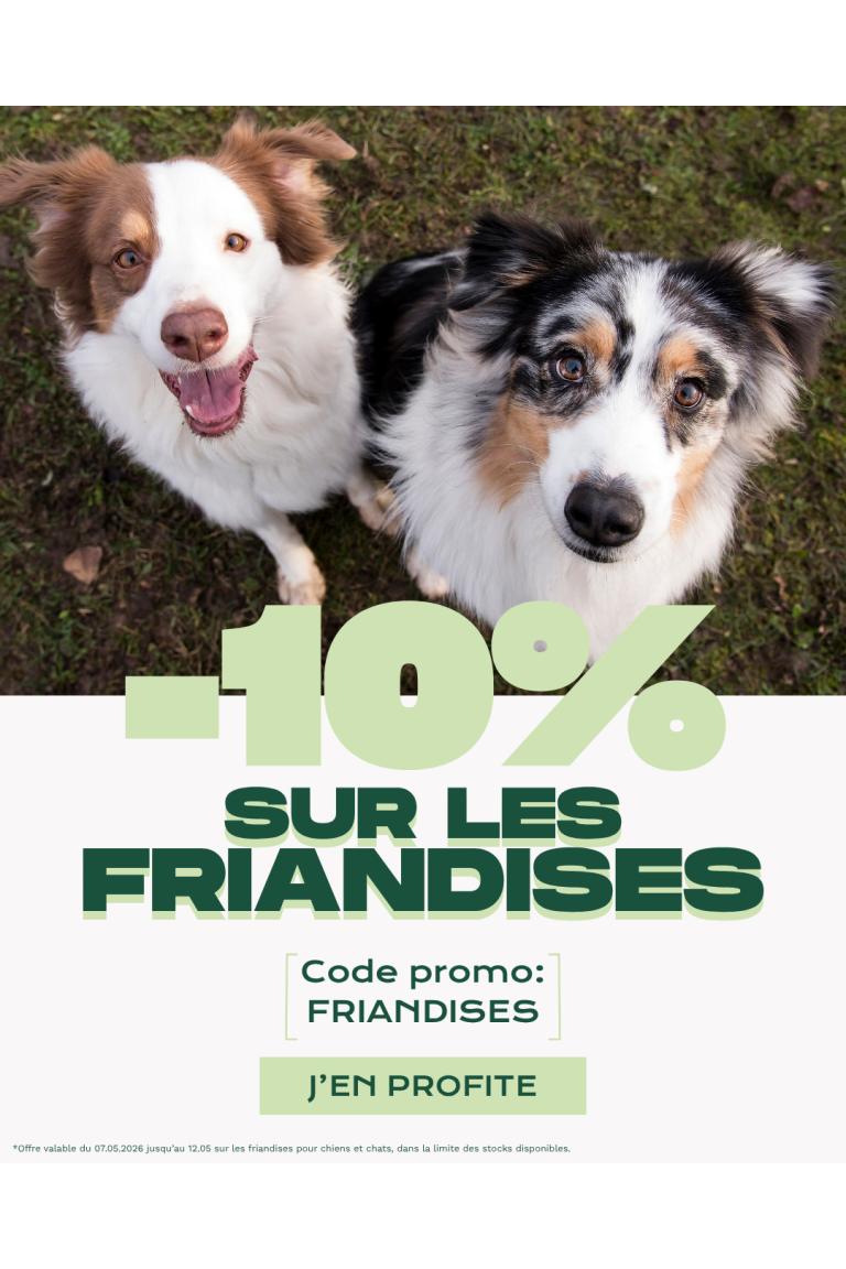 Friandises offre flash 0526
