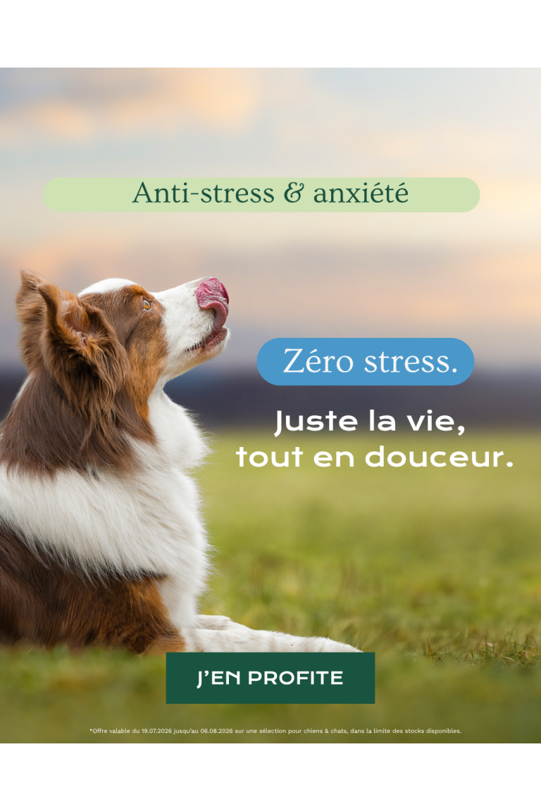Stress & anxiété 0726