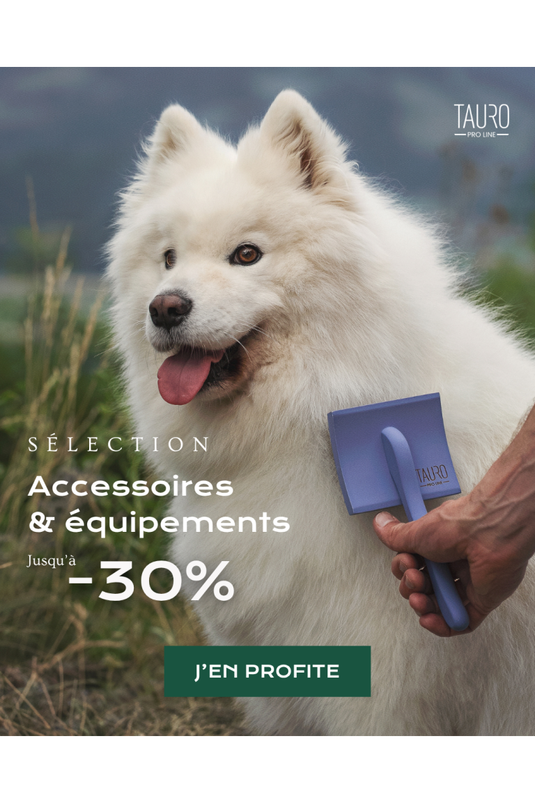 Sélection Accessoires et Equipements