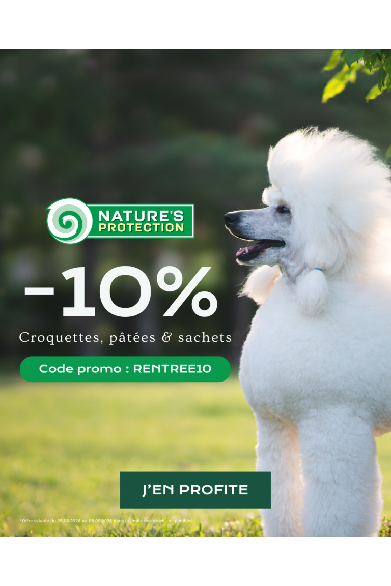 NP -10% 250826