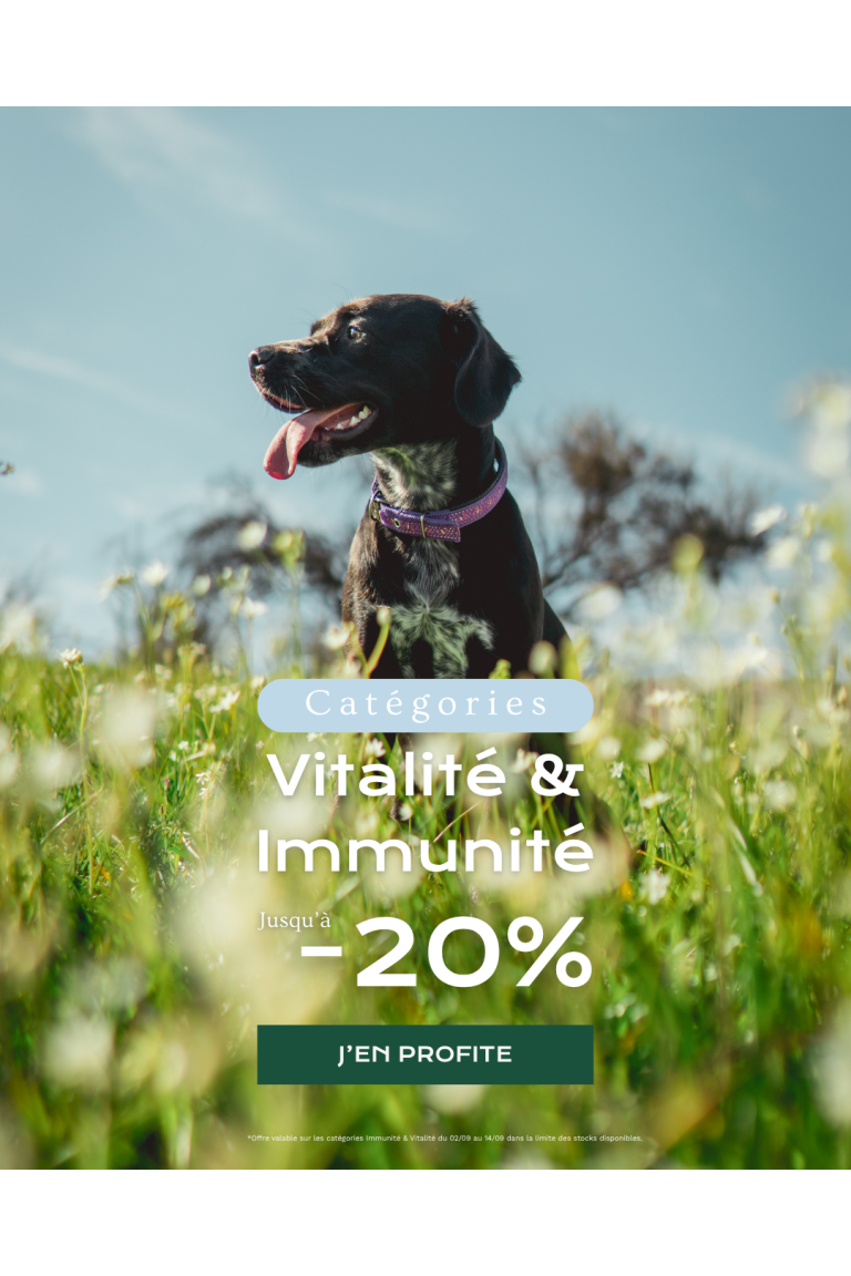 Immunité et vitalité 0109