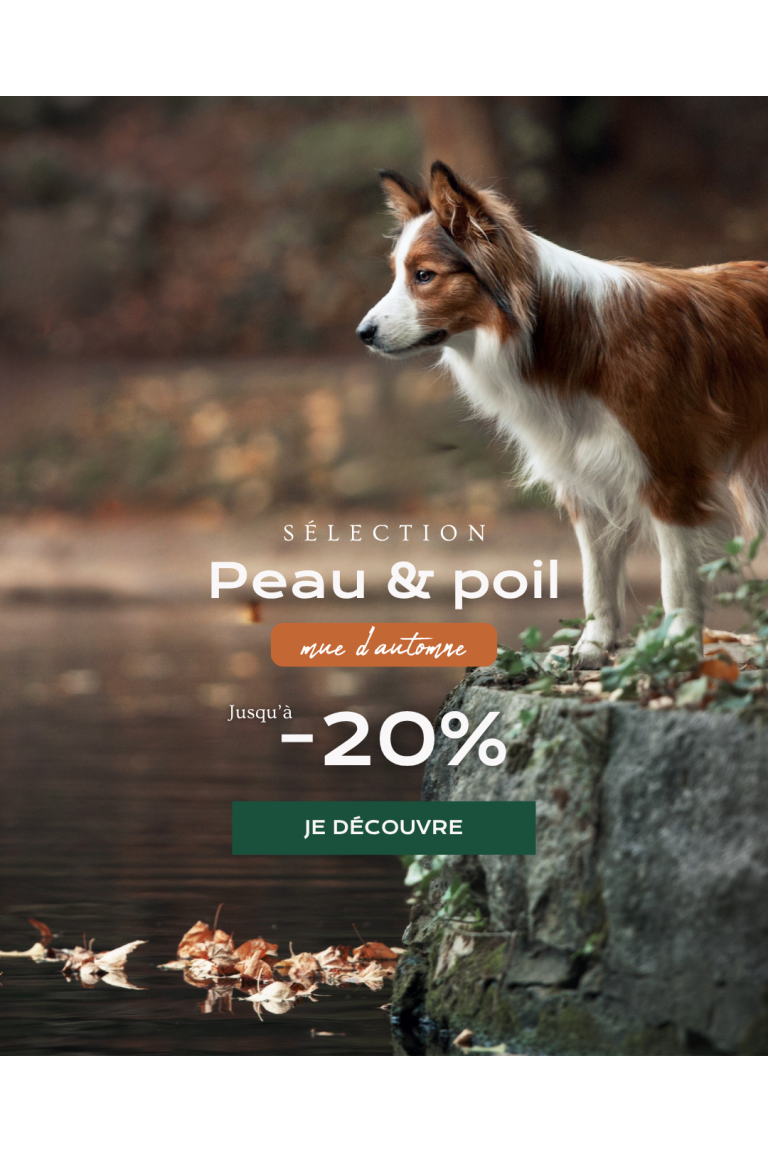 Sélection Peau et Poil mue 0926