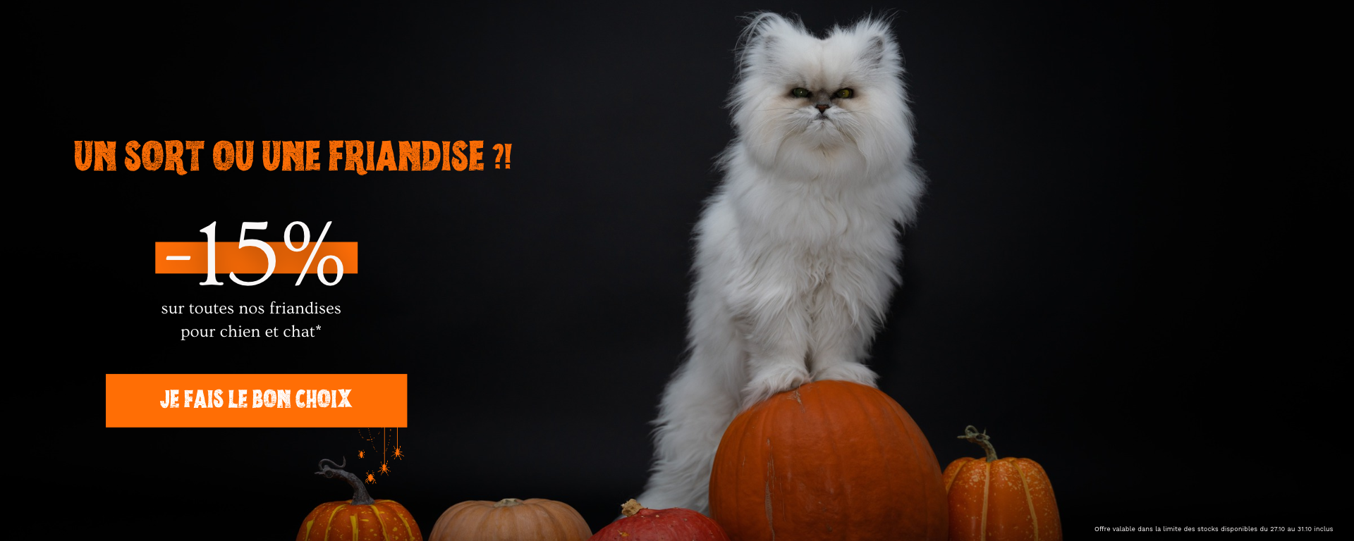 Halloween chat 271026