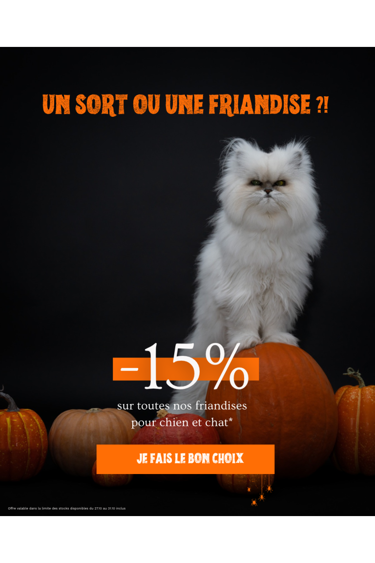 Halloween chat 1026