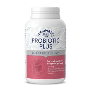 Probiotic Plus Dorwest