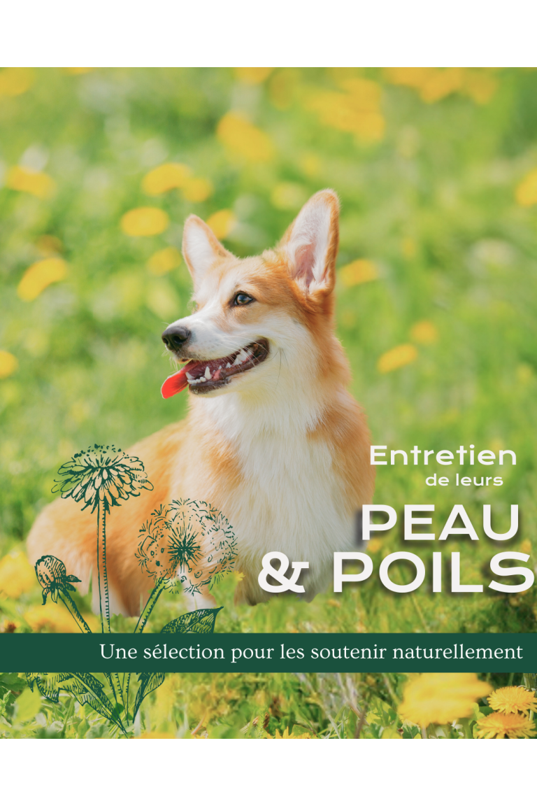 Peau & Poils - irritations