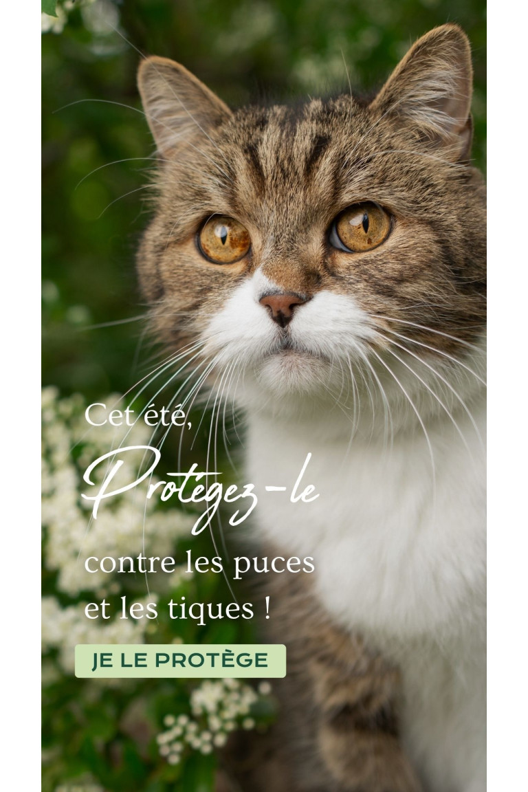 Antiparasitaires - Chats
