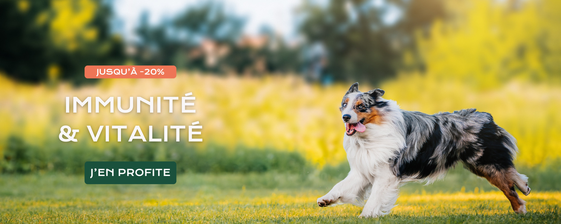 Immunité et vitalité 