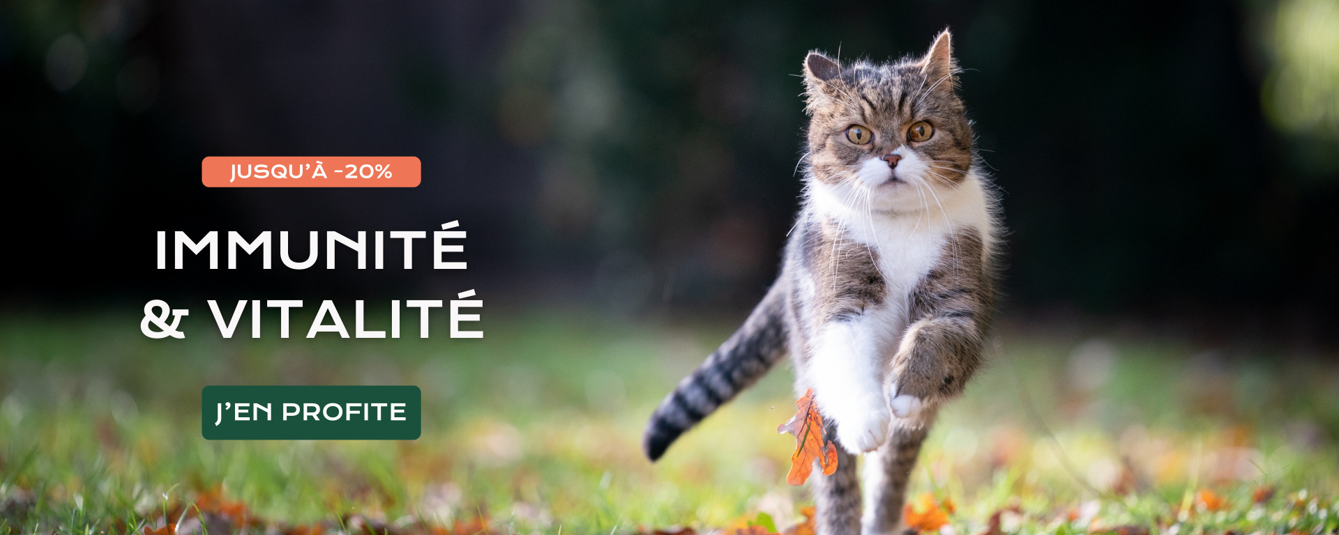 Immunité et vitalité 