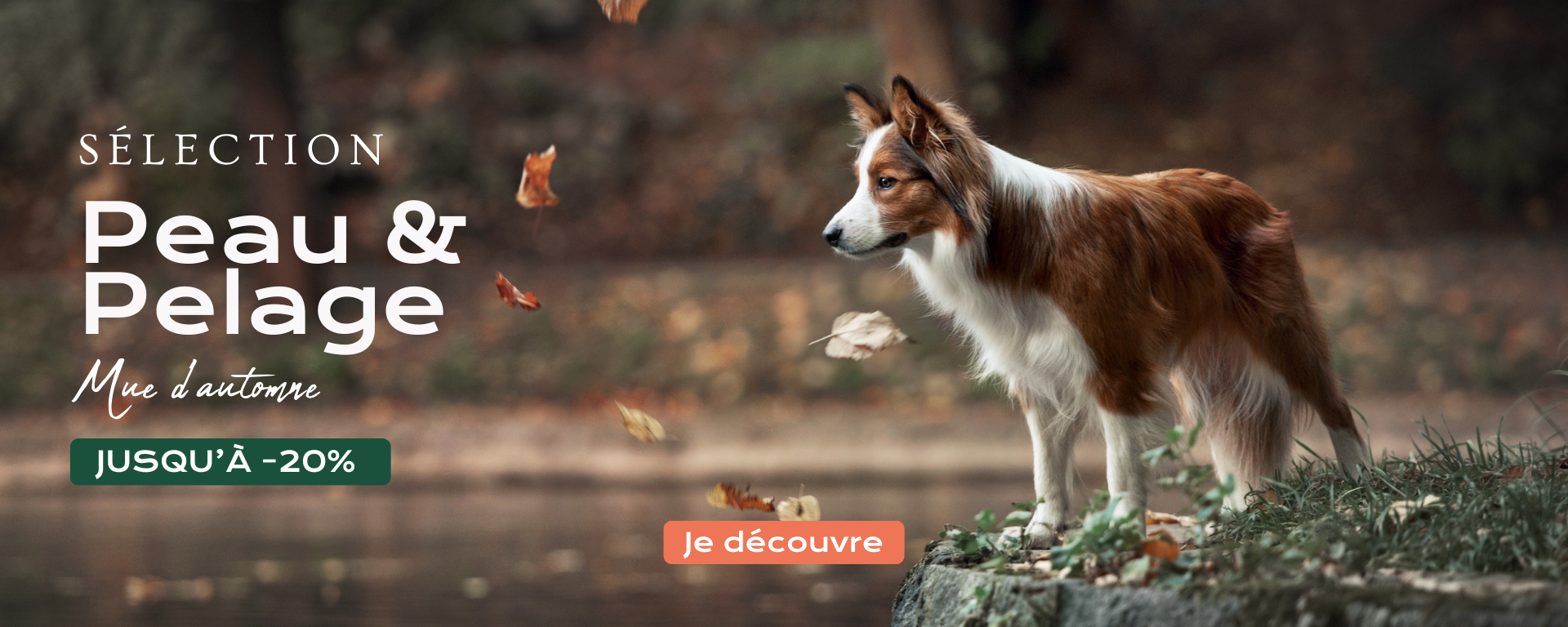 Mue d'automne