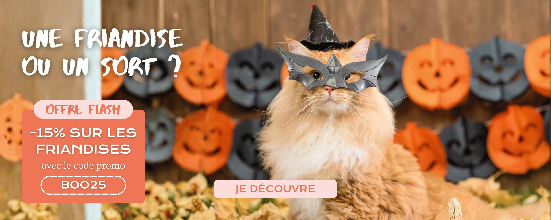 Offre flash halloween chats