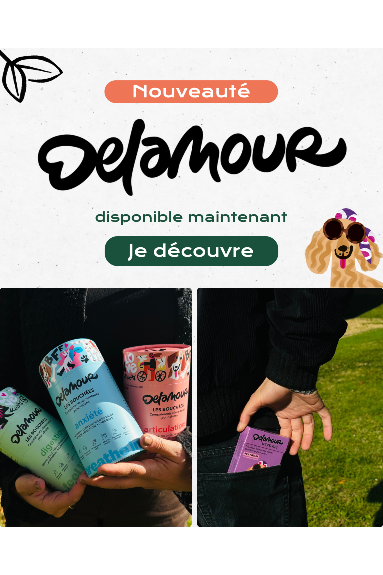 Delamour