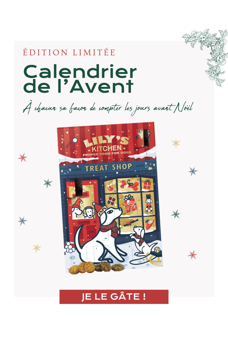 Calendrier Lily's Kitchen