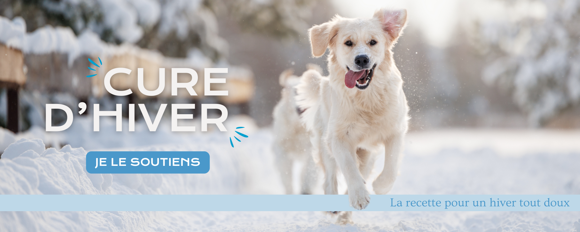 Cure d'hiver
