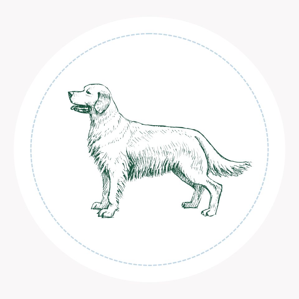 Est ce que mon chien est stressé ou anxieux ?