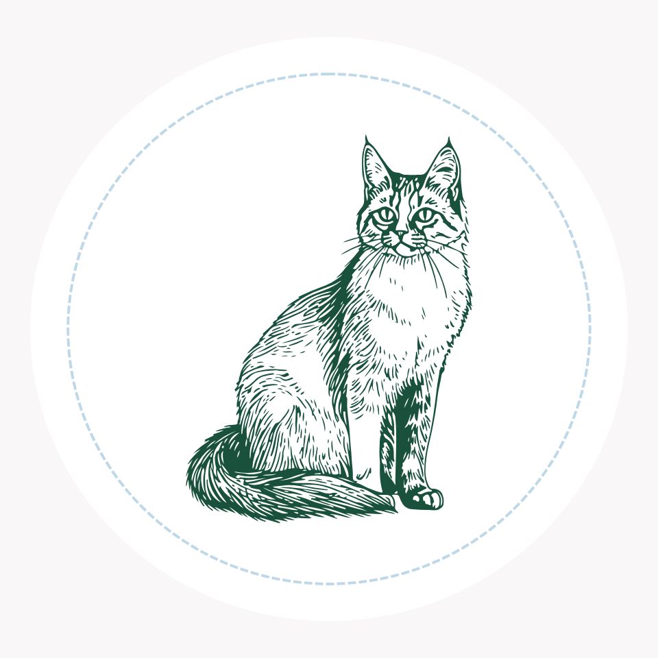 Est ce que mon chat est stressé ou anxieux ?