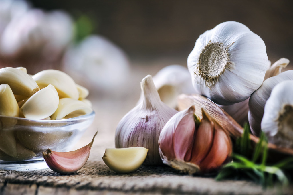 Ail toxique ou non pour nos poilus ?