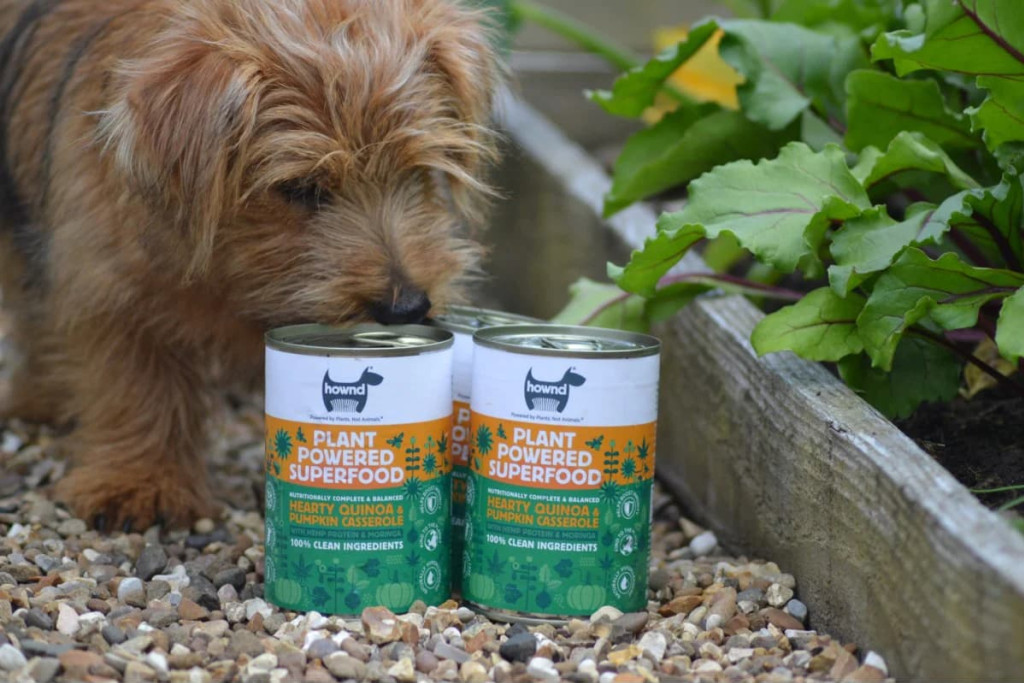 6 conseils pour initier votre chien aux aliments vegan