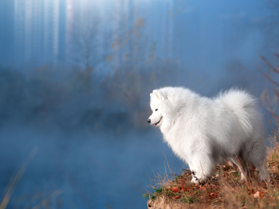 10 conseils pour mieux affronter l’hiver