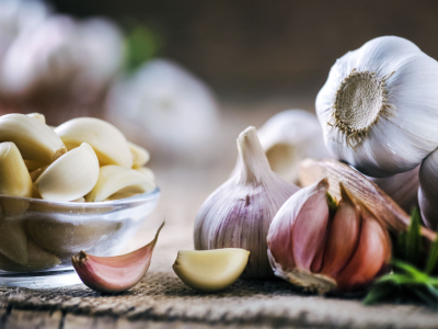 Ail toxique ou non pour nos poilus ?