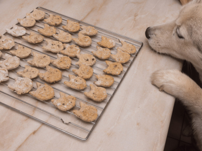 3 recettes de friandises pour chiens à faire soi-même