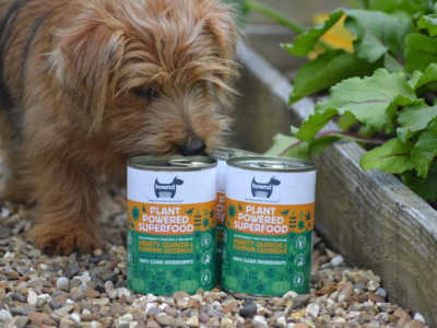 6 conseils pour initier votre chien aux aliments vegan
